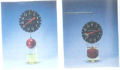 Figure shows a simple laboratory experiment. Calculate (a) the volume and (b) the density of the suspended sphere. (Assume that the density of the sphere is uniform and that the liquid in the beaker is water.) (c) Would you be able to make the same determinations if the liquid in the beaker were mercury (See Table 9.2.) Explain. FIGURE Dunking a sphere See Exercise.