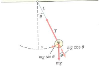 The forces acting on a simple pendulum are shown in Fig. (a) Show that, for the small angle approximation (sin ), the force producing the motion has the same form as Hooke's law. (b) Show by analogy with a mass on a spring that the period of a simple pendulum is given by T = 2     . [ Hint : Think of the effective spring constant.]     FIGURE SHM of a pendulum See Exercise.