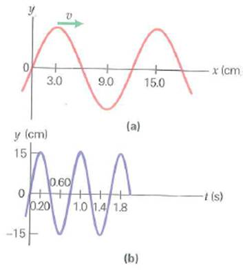 Fig. a shows a snapshot of a wave traveling on a rope, and Fig. b describes the position as a function of time of a point on the rope. (a) What is the amplitude of the traveling wave (b) What is the wavelength of the wave (c) What is the period of the wave (d) What is the wave speed FIGURE How high and how fast See Exercise.