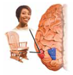 The approach that focuses on how one's nervous system, hormones, and genes interact with the environment is called the _____ approach.