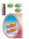If an axon membrane has a potential similar to a charged battery, the axon is in the (a) _____. During this state, the ions outside the membrane are positively charged (b) _____ ions; the ions inside the membrane are negatively charged (c) _____ ions.