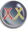 A fertilized egg, which is called a (a) _____, contains 46 chromosomes arranged in 23 pairs. A hairlike structure that contains tightly coiled strands of the chemical DNA (deoxyribonucleic acid) is called a (b) _____. A specific segment on the strand of DNA that contains instructions for making proteins is called a (c) _____.