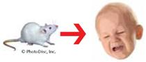 An emotional response, fear, was classically conditioned in Little Albert by presenting a white rat, which was the (a) _____, and then making a loud noise, which was the (b) _____; in turn, the loud noise elicited crying, which was the (c) _____. Albert's conditioned emotional response, crying, also occurred in the presence of stimuli similar to the white rat, such as a rabbit; this phenomenon is called (d) _____. Albert did not cry at the sight of blocks or papers; this phenomenon is called (e) _____. Watson and Rayner were the first to demonstrate that (f) _____ responses could be classically conditioned in humans.