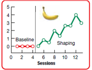 Skinner used the term operant (a) _____ to describe something that can be modified by its consequences. Operant responses provide one way to separate ongoing behaviors into units that can be observed and measured. Skinner believed that Pavlov's conditioning, which involves physiological (b) _____, was not very useful in understanding other forms of ongoing behaviors.