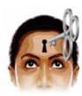 Something happens that is so threatening, shocking, or traumatic that our mind pushes that memory into the unconscious, from which it cannot be retrieved at will. This phenomenon is called _____.