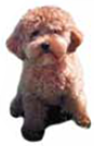 If you form a concept by putting together the average characteristics of an object and then seeing whether a new object matches your average object, you are forming a concept according to (a) _____ theory. If you develop an idea of a dog of average age, height, weight, and color, you have formed a (b) _____ of a dog.