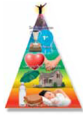 Food, water, and sleep are examples of (a) _____ needs. In comparison, needs that are acquired through learning and socialization are called (b) _____ needs. The theory that we satisfy our needs in ascending order, with physiological needs first and social needs later, is called (c) _____. According to this theory, needs are divided into five levels: biological, safety, love and belongingness, esteem, and self-actualization.