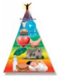 The ascending order or hierarchy with biological needs at the bottom and social needs at the top is _____. This idea assumes that we satisfy our biological needs before we satisfy our social needs.