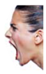 According to one theory, we inherit the neural structure and physiology to express and experience emotions, and we evolved basic emotional patterns to adapt to and solve problems important for our survival; this is called the (a) _____ theory. Facial expressions that accompany emotions send signals about how one (b) _____ and what one intends to do. Emotions focus one's (c) _____ so one can better respond to emotional situations and also increases (d) _____ of situations that may be either beneficial or dangerous to one's well-being.