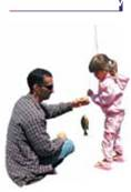 The first five of Erikson's eight stages involve the resolution of a potential social problem between the child and his or her environment. In stage 1, the infant deals with resolving issues surrounding trust versus (a) _____. In stage 2, the toddler must resolve issues surrounding autonomy versus shame and (b) _____. In stage 3, the younger child deals with issues of initiative versus (c) _____. In stage 4, the older child deals with issues that involve industry versus (d) _____. In stage 5, the adolescent deals with issues that involve identity versus (e) _____.