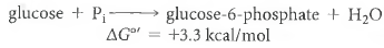 Glucose Phosphorylation. The direct phosphorylation of glucose by inorganic phosphate is a thermodynamically unfavorable reaction: (1) In the cell, glucose phosphorylation is accomplished by coupling the reaction to the hydrolysis of ATP, a highly exergonic reaction: (2) Typical concentrations of these intermediates in yeast cells are as follows: Assume a temperature of 25°C for all calculations. (a)What minimum concentration of glucose would have to be maintained in a yeast cell for direct phosphorylation (Reaction 9-21)to be thermodynamically spontaneous Is this physiologically reasonable Explain your reasoning. (b)What is the overall equation for the coupled (ATP-driven)phosphorylation of glucose What is its G ° value (c)What minimum concentration of glucose would have to be maintained in a yeast cell for the coupled reaction to be thermodynamically spontaneous Is this physiologically reasonable (d)By about how many orders of magnitude is the minimum required glucose concentration reduced when the phosphorylation of glucose is coupled to the hydrolysis of ATP (e)Assuming a yeast cell to have a glucose concentration of 5.0 mM, what is G for the coupled phosphorylation reaction