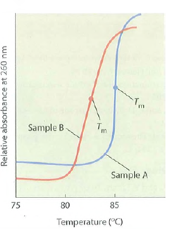 DNA Melting. Figure shows the melting curves for two DNA samples that were thermally denatured under the same conditions. (a)What conclusion can you draw concerning the base compositions of the two samples Explain. (b)How might you explain the steeper slope of the melting curve for sample A (c)Formamide and urea are agents known to form hydrogen bonds with pyrimidines and purines. What effect, if any, would the inclusion of a small amount of formamide or urea in the incubation mixture have on the melting curves FIGURE Thermal Denaturation of Two DNA Samples.