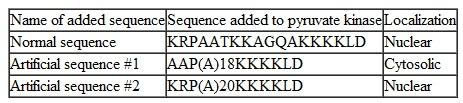 Going Nuclear. Experiments have been performed with the nuclear localization sequence (NLS)of nucleoplasmin. In each case, a string of amino acids was added to pyruvate kinase, a glycolytic enzyme normally found in the cytosol. The sequence of each added string of amino acids is shown using single-letter amino acid designations. Consult the single-letter amino acid code table (Table 3-2, page 45)if you feel it is necessary. Many alanines in a row are denoted by (A)n , where n is the number of alanines. The following results were obtained: (a)What sort of NLS does nucleoplasmin appear to have, based on these results Explain your answer. (b)How does your conclusion about the NLS of nucleoplasmin compare to the NLS for SV40 large T antigen
