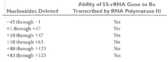 Locating Promoters. The following table provides data concerning the effects of various deletions in a eukaryotic gene coding for 5S rRNA on the ability of this gene to be transcribed by RNA polymerase III. (a)What do these data tell you about the probable location of the promoter for this particular 5S-rRNA gene (b)If a similar experiment were carried out for a gene transcribed by RNA polymerase I, what kinds of results would you expect (c)If a similar experiment were carried out for a gene transcribed by RNA polymerase II, what kinds of results would you expect