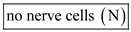 (a) The axonal endings of neurons that innervate muscles are in direct contact with muscle cells. However, there is no direct contact between neurons that communicate with other neurons. There is a gap between the axon of on cell and the dendrites of another called the synapse. Hence, the given statement is . (b) During an action potential, the influx of sodium ions makes the membrane potential positive. So, in resting state, the membrane potential of the axonal membrane is negative always. Hence, the given statement is true of . (c) The nodes of Ranvier are present at intervals along myelinated axons. However, not all axons are surrounded by a myelin sheath. Hence, the given statement is . (d) At rest, the membranes of all axons are naturally more permeable to potassium than sodium. As a result, the resting membrane potential is closer to the equilibrium potential of potassium. Hence, the given statement is true of (e) Excitation of the membrane triggers the opening of sodium channels at the axon hillock. As a result, the membrane becomes more permeable to sodium and depolarization occurs. However, all the nerve cells do not get excited with transient increase in permeability of sodium ions. Hence, the given statement is . (f) Not all axons are large enough to be measured with electrodes. For studies requiring the measurement of electrical potentials, giant squid axons are used because they are large enough to be connected to electrodes. Hence, the given statement is . (g) Serotonin release is not influenced by the elevation of calcium levels. Hence, the given statement is true of .