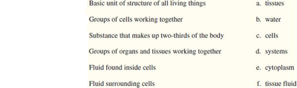 Match the appropriate term to the characteristic or description.