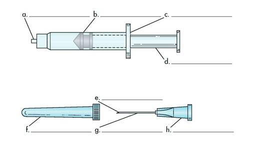 Answer the following questions in the spaces provided. Identify the parts of a needle and syringe on the drawings below.