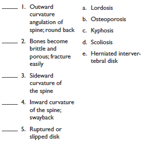 Match each of the following definitions with its correct term: