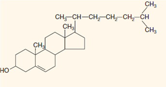 Identify any and all functional groups on each structure (i-v). (i) (ii) (iii) (iv) (v)