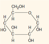 Identify any and all functional groups on each structure (i-v). (i) (ii) (iii) (iv) (v)