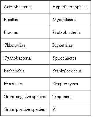 Construct a concept map for the domain Bacteria using the following terms. ( Key Concept 1 )