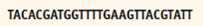 Answer the following questions that pertain to (1) transcription and translation, and (2) mutations. Use the genetic code (Table). Use the base sequence to answer the following questions about mutations. A. Is the sequence above a single strand of DNA or RNA Why B. Using the sequence above, show the translation result if a mutation results in a C replacing the T at base 12 from the left end of the sequence. Is this an example of a silent, missense, or nonsense mutation C. Using the sequence above, show the translation result if a mutation results in an A inserted between the T (base 12) and the T (base 13) from the left end of the sequence. Is this an example of a silent, missense, or nonsense mutation Table: The Genetic Code Decoder