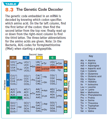 Answer the following questions that pertain to (1) transcription and translation, and (2) mutations. Use the genetic code (Table). Bioremediation is a process that uses bacteria to degrade environmental pollutants. You want to use one of these organisms to clean up a toxic waste site (biochemical refinery) that contains benzene in the soil around the refinery. Benzene (molecular formula C 6 H 6 ) is a major contaminant found around many of these chemical refineries. You have a culture of bacterial cells growing on a culture plate that were derived from a soil sample from the refinery area. You also have a supply of benzene. Explain how you could visually identify chemoheterotrophic bacterial colonies on agar that use benzene as their sole carbon and energy source for metabolism. Table: The Genetic Code Decoder