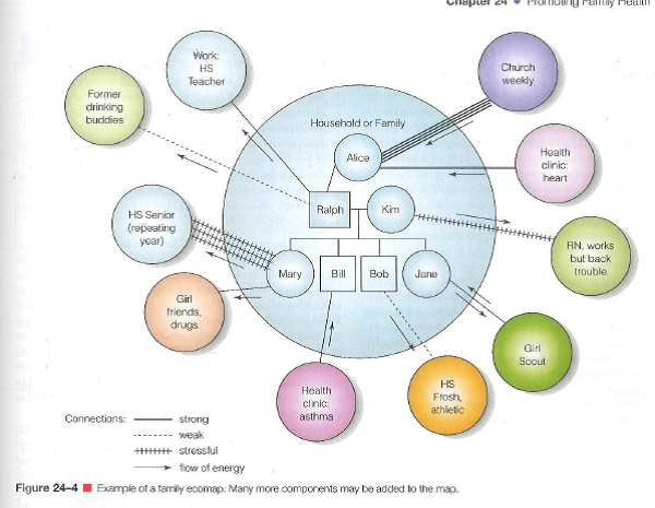 Examine Figures 24-3 and 24-4 on pages 390-391. Based on the information in these two diagrams, which family member is at greatest risk for developing a health problem? 1) Alice 2) Bill 3) Kim 4) Mary Reference Figure 24-3: Reference Figure 24-4: