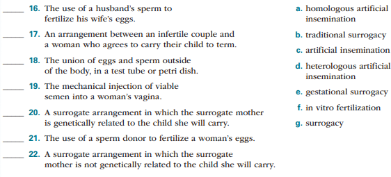 Match the following terms with their correct definitions: