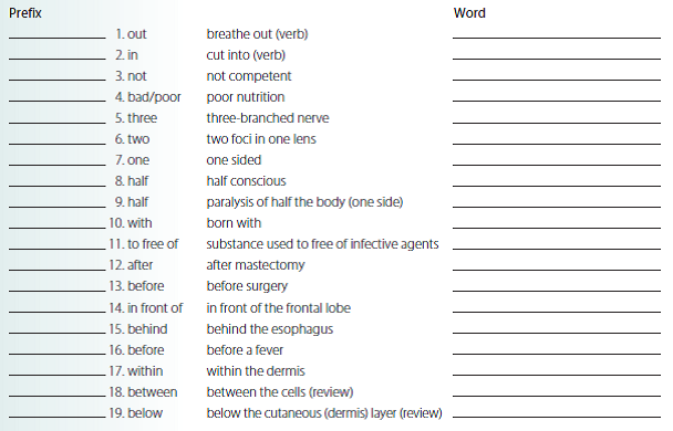 Write the prefix that represents the direction. Then build a word using that prefix.
