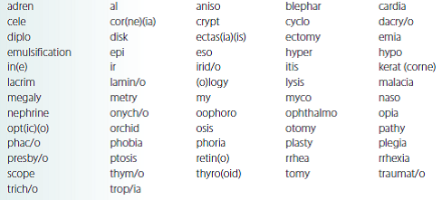 Select the correct word parts from the list below and construct medical terms that represent the given meaning. removal of the lens through a destruction procedure __________________________________________