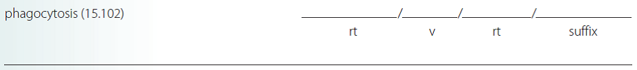 Give a brief definition and dissect each term listed into its word parts in the space provided. Check your answer by referring to the frame listed in parentheses and your medical dictionary. Then listen to the Audio CD to practice pronunciation.