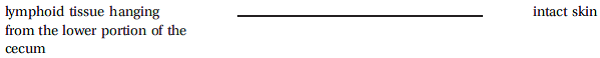 Write the correct answer in the middle column.