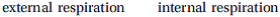Select the correct answer, and write it on the line provided. The exchange of gases within the cells of the body is known as ____________________________________