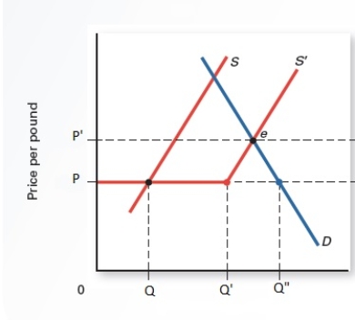 <strong>Exhibit 17.b Refer to Exhibit 17.b, which shows the supply of a product in the United States. If the world price is P, then the quantity demanded is _____</strong> A) Q. B) Q' C) Q D) 0.5 x (Q'-Q) E) 0.5 x (Q-Q')