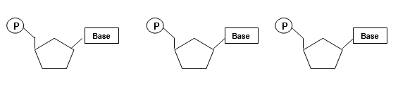 Complete the incomplete diagrams below to show the key structural difference between an NTP, dNTP, and ddNTP (e.g., CTP, dCTP, ddCTP).  ‪   (a) What do d and dd stand for? (b) Explain why ddNTPs are called chain terminators in DNA sequencing reactions.