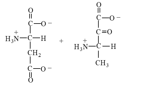 <strong>Which of the following is produced when the amino acid aspartate undergoes transamination reaction shown here? </strong> A) B) C) D)