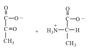 <strong>Which of the following is produced when the amino acid aspartate undergoes transamination reaction shown here? </strong> A) B) C) D)