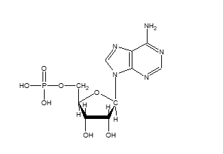 The following structure is known as a ___.  
