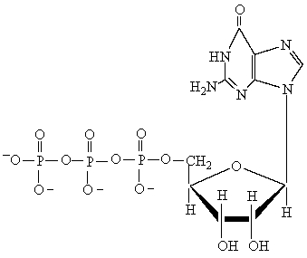 The following structure represents which of the following nucleotides?