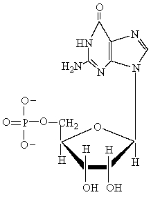 To form the molecule below, dehydration takes place at C1 of the pentose ring and at an N-H hydrogen at position ___ of the purine base.  