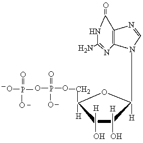 Which of the following statements is true about the given nucleotide?  