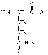 <strong>The structure of the amino acid glutamine is shown below. Glutamine can be classified as </strong> A) polar-neutral B) polar -acidic C) polar basic D) nonpolar