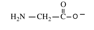 <strong>Shown here is the amino acid glycine at a pH of ___. </strong> A) 1 B) 7 C) 14 D) both 1 and 14
