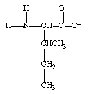 <strong>What form does isoleucine take at pH 14?</strong> A) B) C) D)