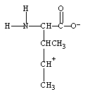 <strong>What form does isoleucine take at pH 14?</strong> A) B) C) D)