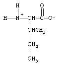 <strong>What form does isoleucine take at pH 14?</strong> A) B) C) D)
