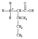 <strong>What form does isoleucine take at pH 14?</strong> A) B) C) D)