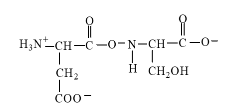 <strong>The form of dipeptide aspatylserine (Asp-Ser) obtained from two amino acids, aspartic acid and serine, whose structures are shown here, is </strong> A) B) C) D)