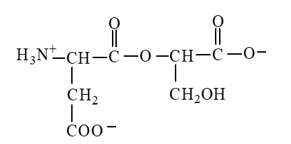 <strong>The form of dipeptide aspatylserine (Asp-Ser) obtained from two amino acids, aspartic acid and serine, whose structures are shown here, is </strong> A) B) C) D)